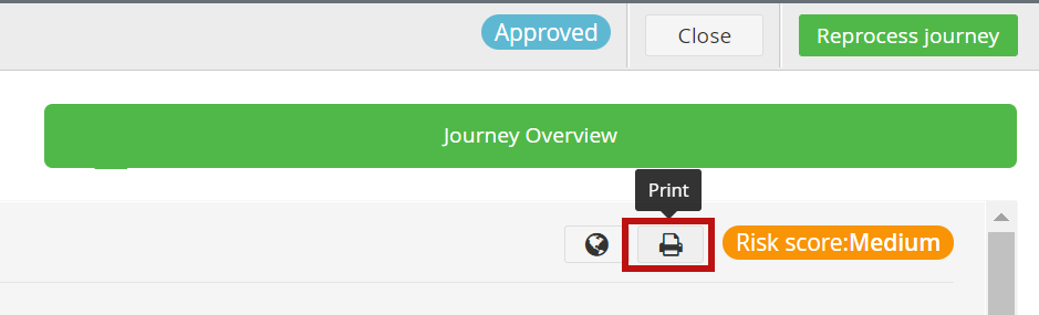 PrintJourneyOverviewReport.png